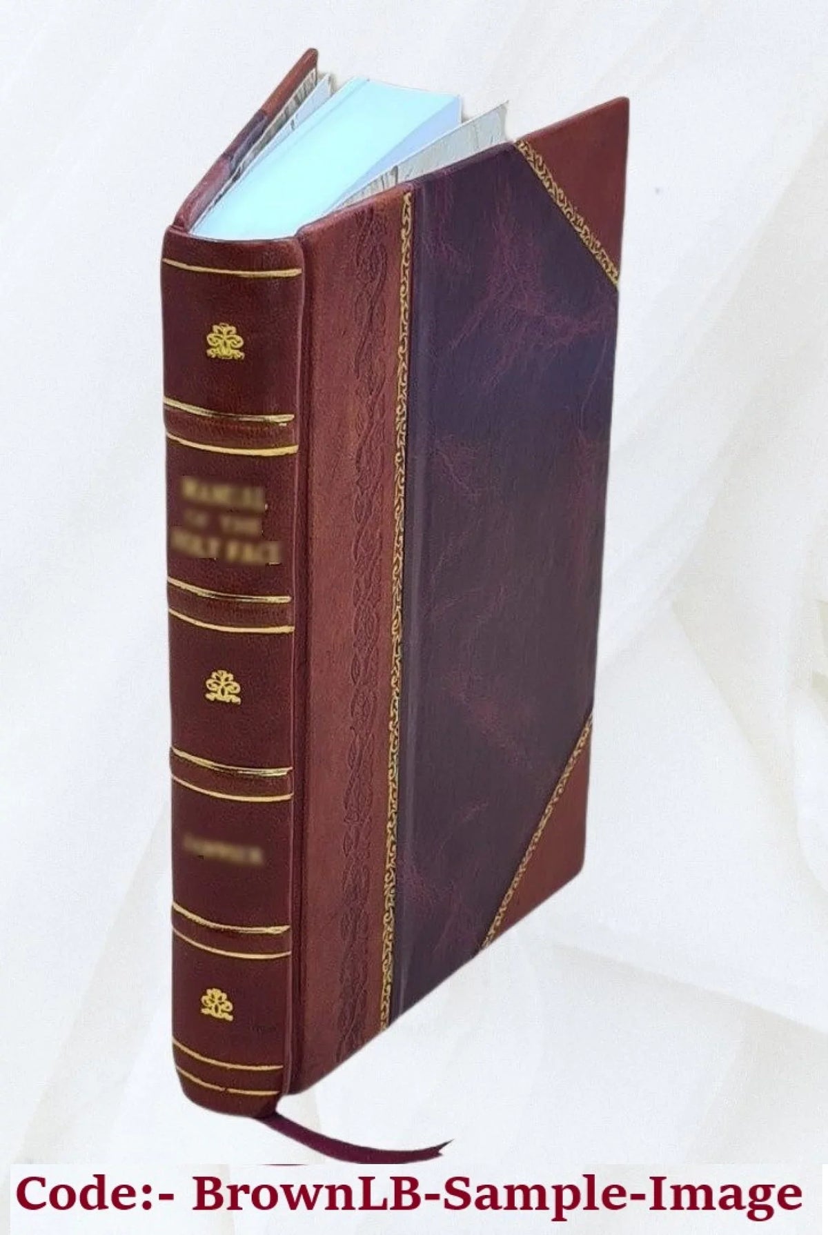 distinguished provincial at Paris (Un grand homme de province a Paris) and . Marcas; tr. by Ellen Marriage ... 1898 [Leather Bound]