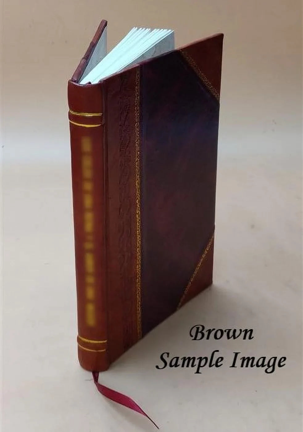 Resources of Santa Cruz County 1916 [Leather Bound]