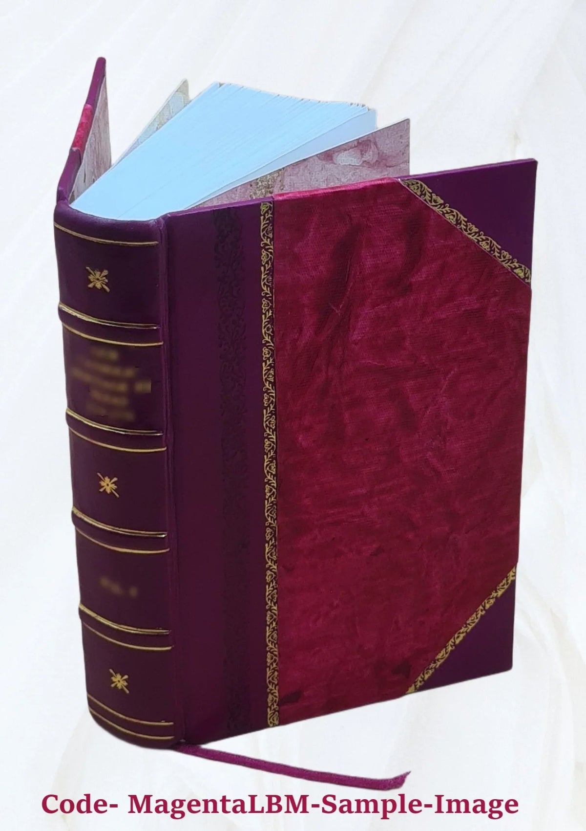 Bibliografia polska. [Stólecie -] .. Volume 18 2022 [Leather Bound]