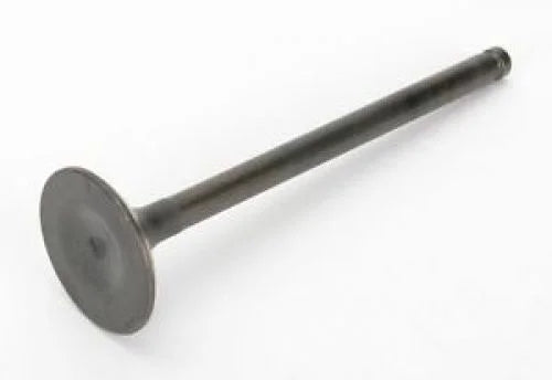 Exhuast Valve   -Max 85-07